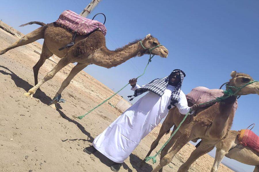 Quad Bike , Camel Ride and Dinner at  Agafay rocky desert 