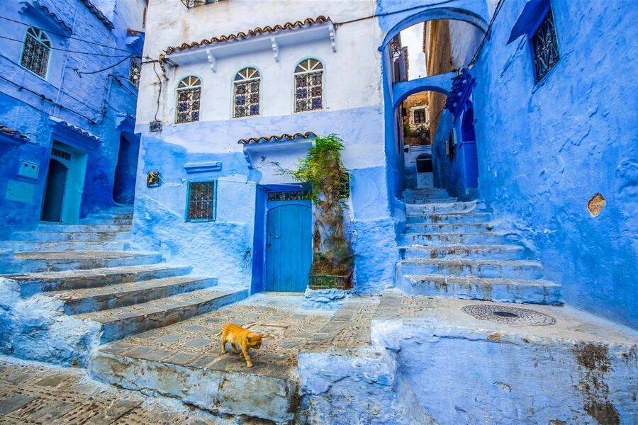 Trip 7 DAYS from Tanger and Imperial cities to Marrakech