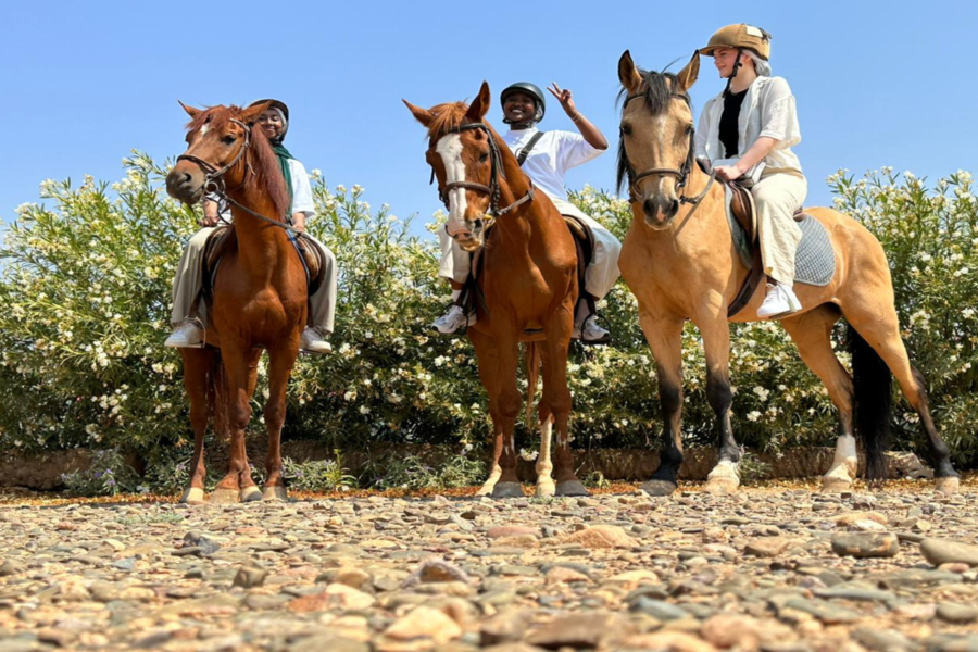 Horse Ride in Marrakech Palmeraie 