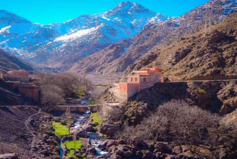 Atlas Mountains & Agafay Desert Tour with lunch and Camel Ride