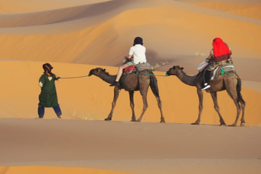 Grand Tour To Morocco From Marrakech To Tangier for 7 days