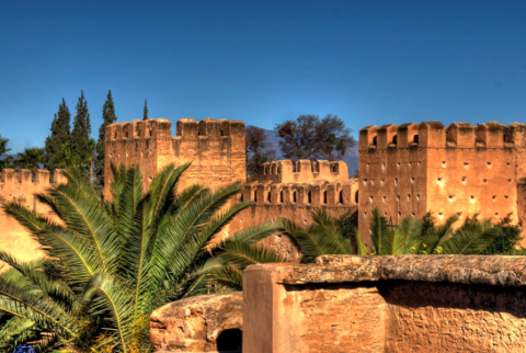 Day Trip from Marrakech to Taroudante: Experience Morocco's Hidden Gem