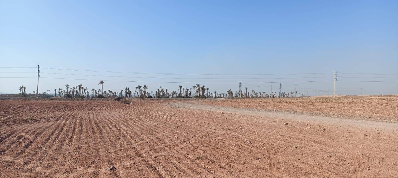 Bike Tours in Palmeraie Marrakech half day