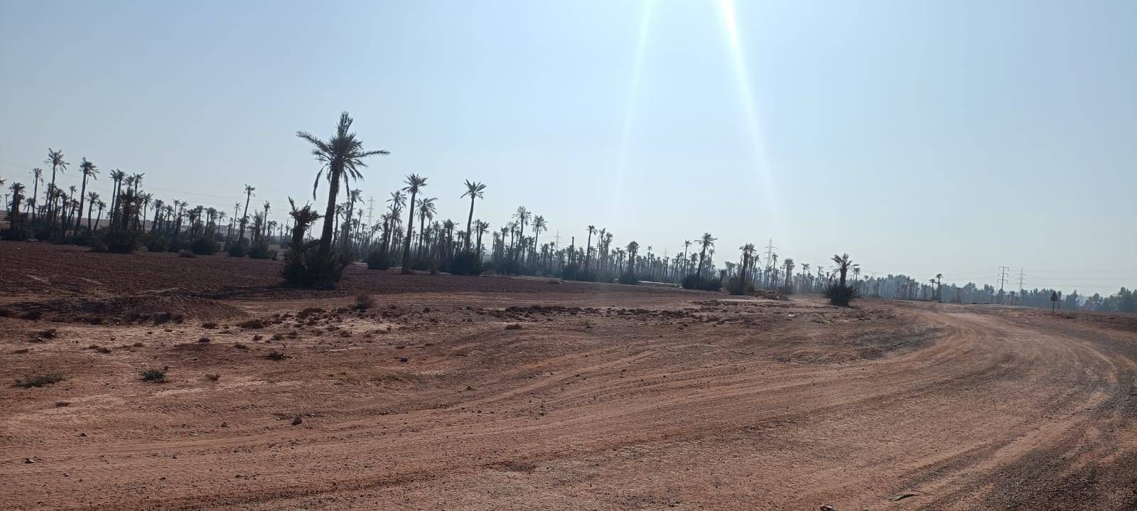 Bike Tours in Palmeraie Marrakech half day