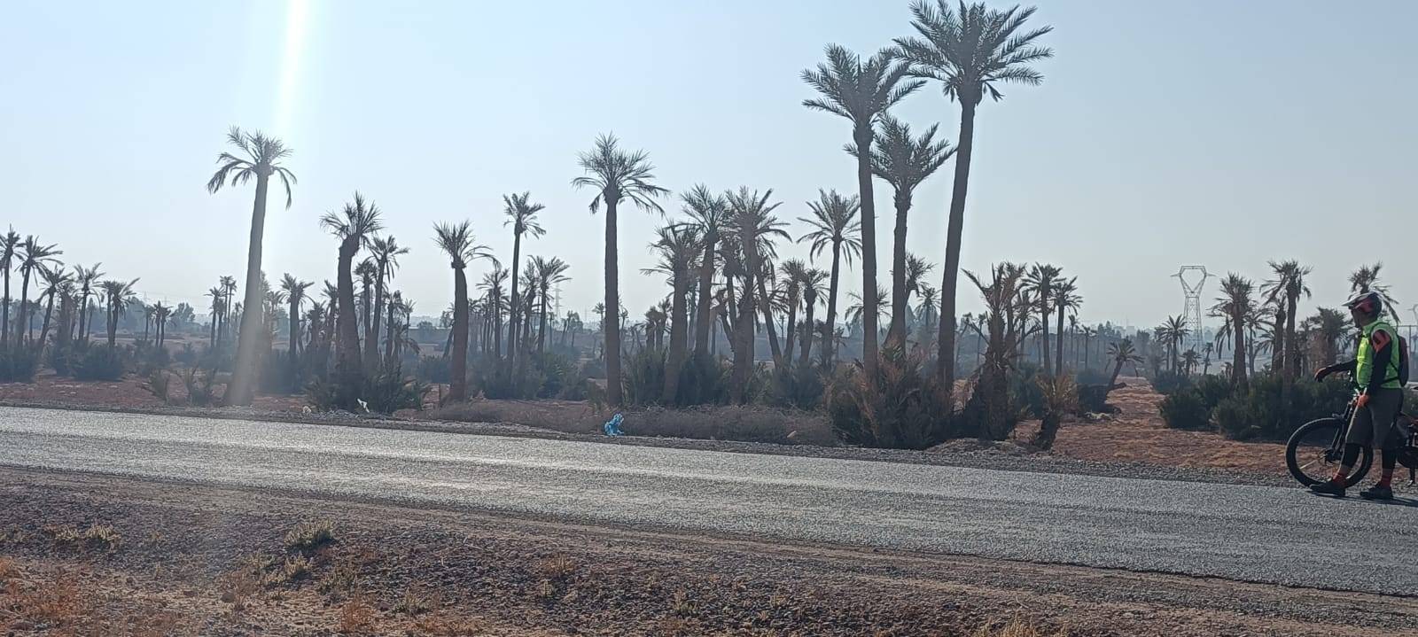 Bike Tours in Palmeraie Marrakech half day