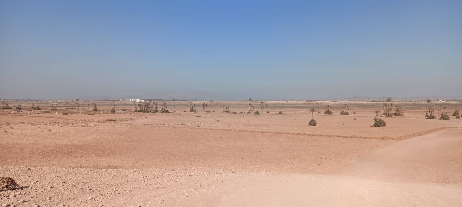 Bike Tours in Palmeraie Marrakech half day