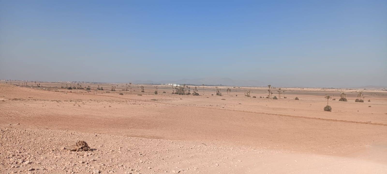 Bike Tours in Palmeraie Marrakech half day
