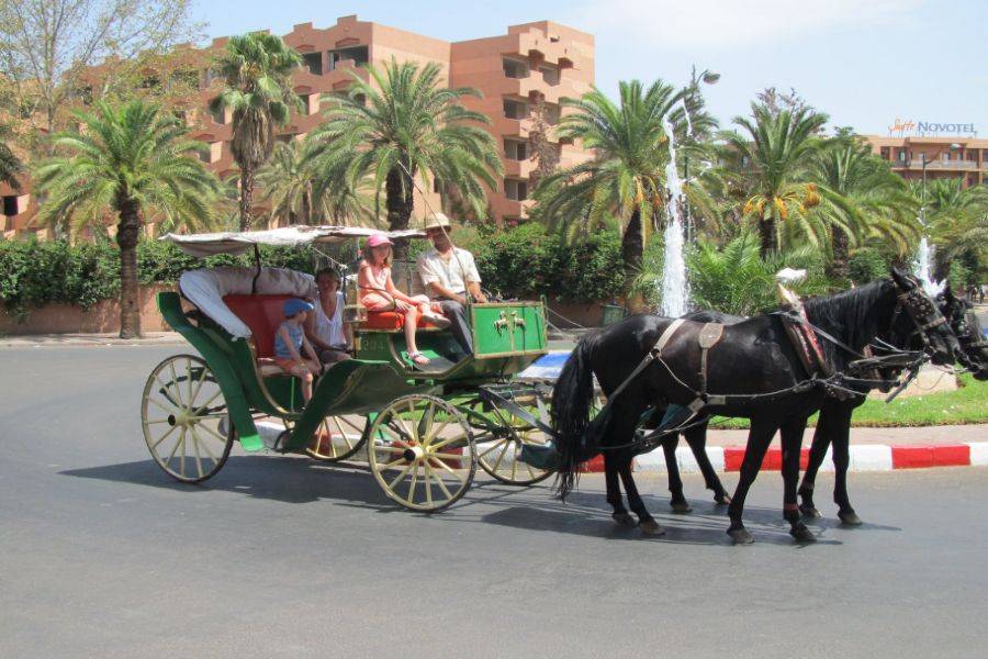 Tour 2 Days to Marrakech Half Board & Spa From Casablanca
