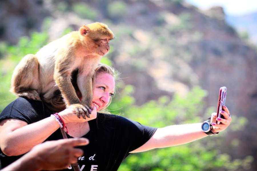 Ouzoud Waterfalls Day Trip from Marrakech — Boat Ride & Barbary Monkeys