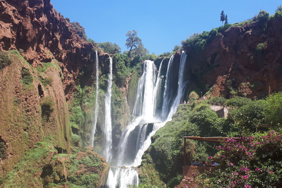 Ouzoud Waterfalls Day Trip from Marrakech — Boat Ride & Barbary Monkeys