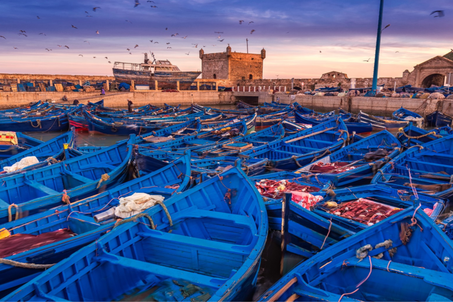 Essaouira Day Trip from Marrakech — UNESCO Coastal City & Blue Medina