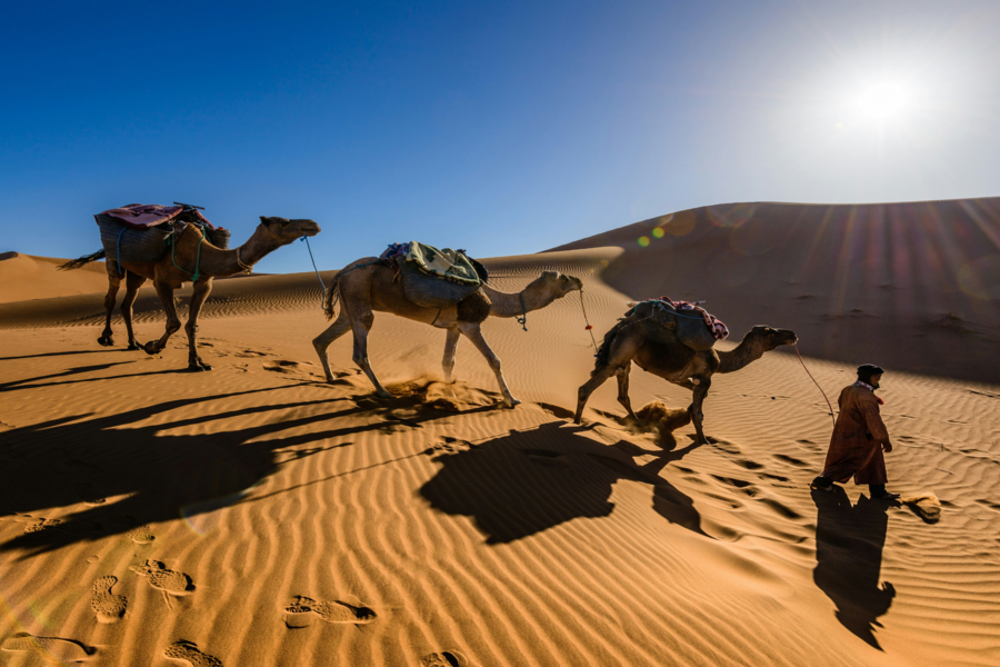 5 days Moroccan Desert Trip Experience 