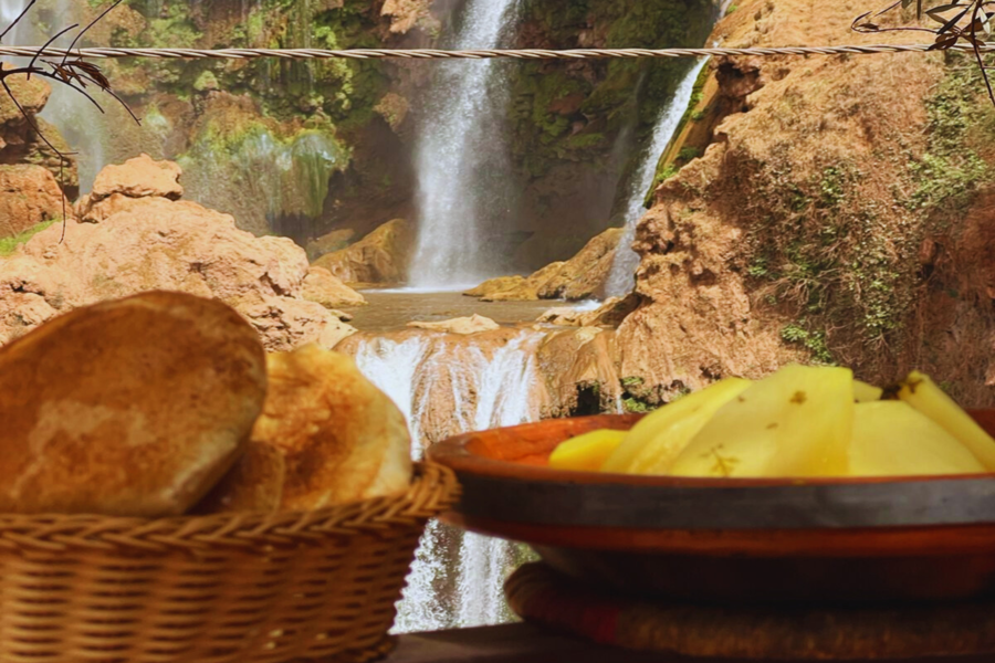 Ouzoud Waterfalls Day Trip from Marrakech — Boat Ride & Barbary Monkeys
