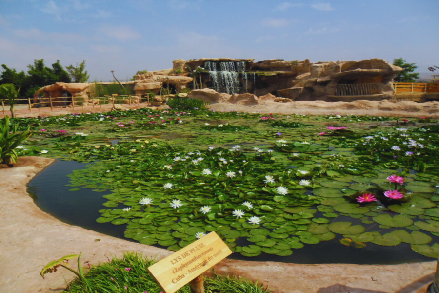 Agadir Day Trip from Marrakech — Beach City & Souk El Had
