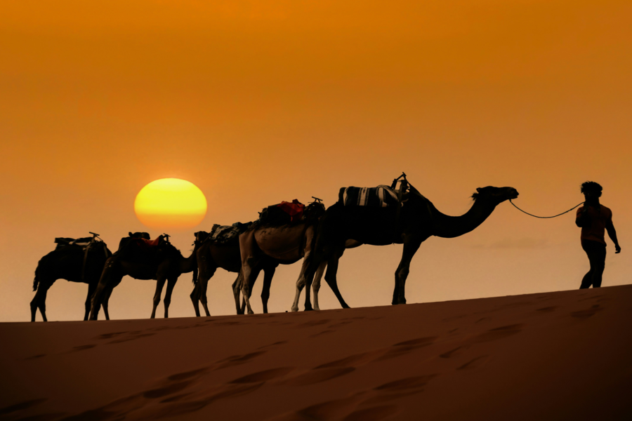 5 days Moroccan Desert Trip Experience 