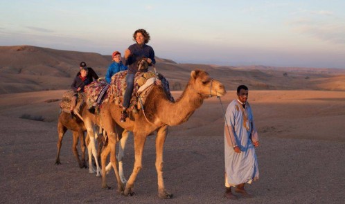 Sunset Camel Ride experience at the Agafay rocky Desert