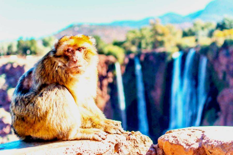 Ouzoud Waterfalls and Iminifri 2 Days Excursion