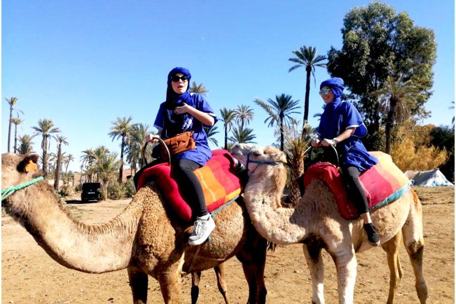 Buggy, Camel Ride & Spa Experience in Marrakech