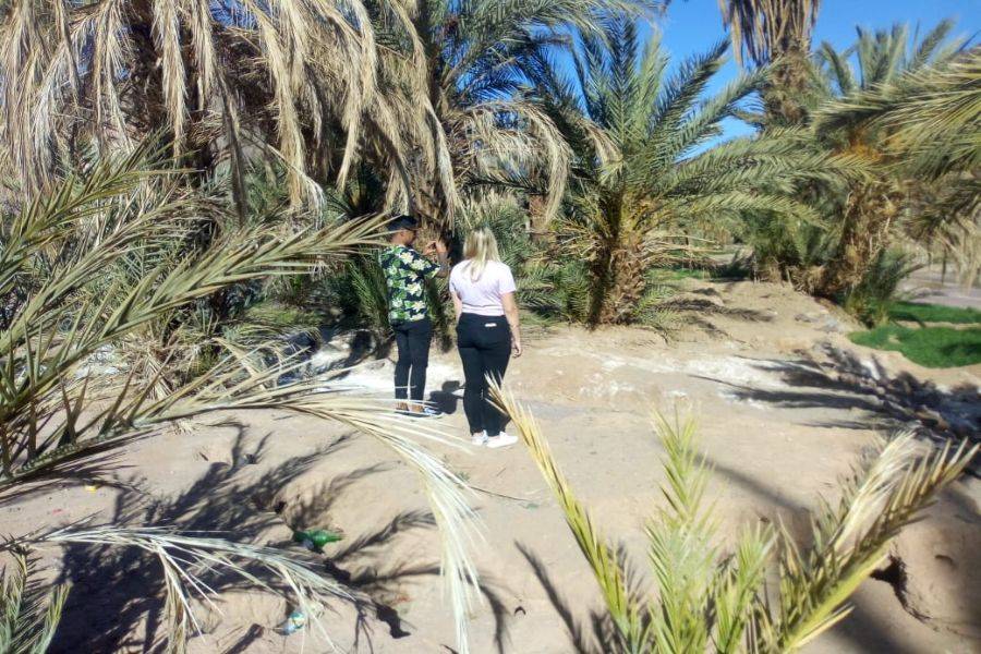 Ouarzazate, Kasbah Ait ben haddou & Oasis Fint 2 days Tour