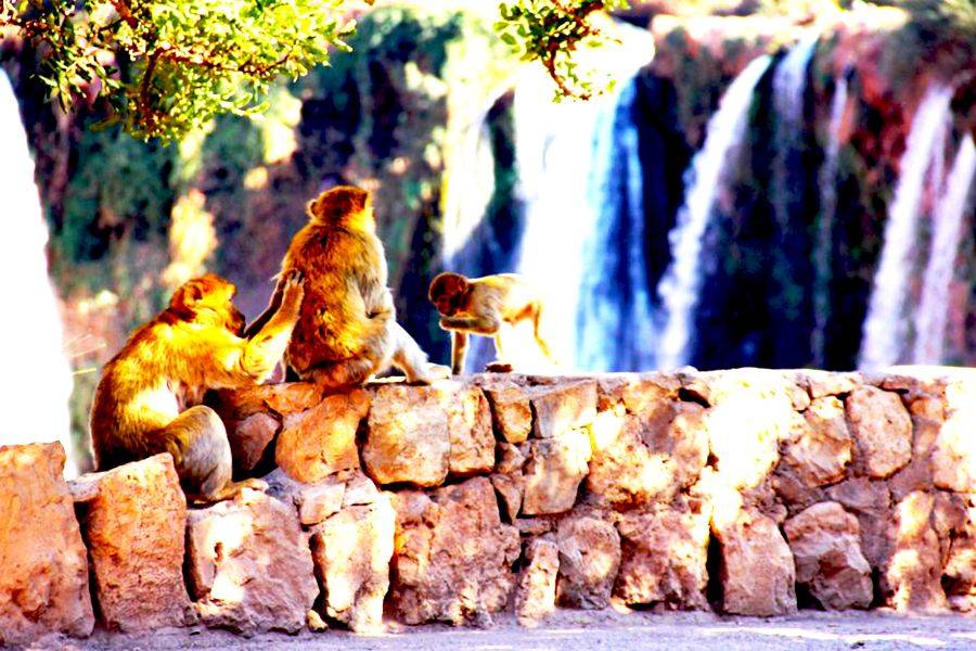Ouzoud Waterfalls and Iminifri 2 Days Excursion