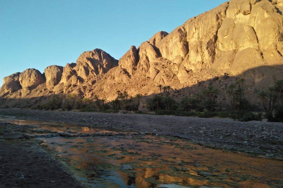 Ouarzazate, Kasbah Ait ben haddou & Oasis Fint 2 days Tour