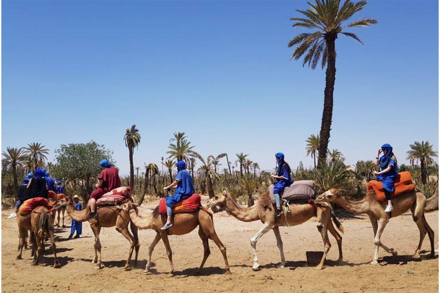 Buggy & Camel Ride Extreme Adventure at Palmeraie Marrakech