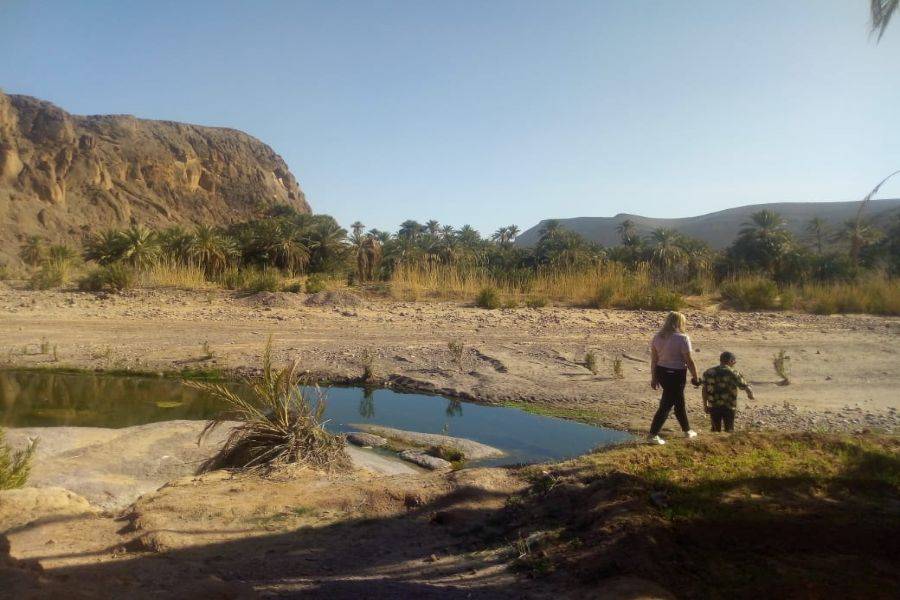Ouarzazate, Kasbah Ait ben haddou & Oasis Fint 2 days Tour