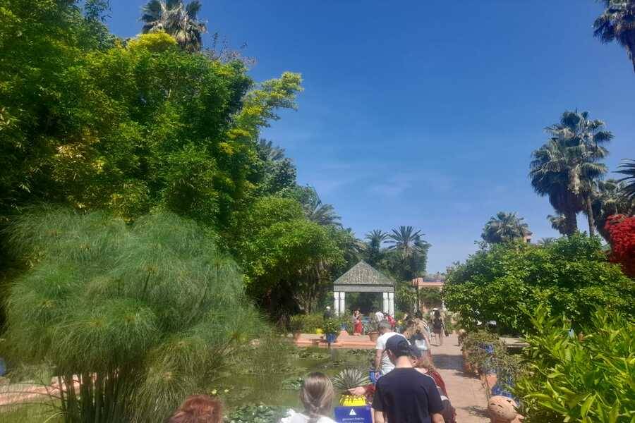 Horse Carriage and Visit of Majorelle Garden Tour