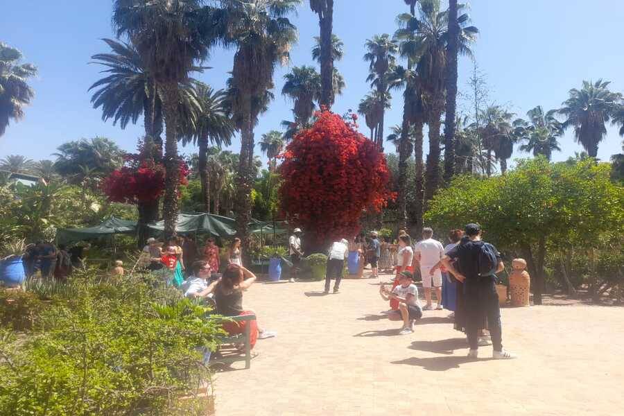 Horse Carriage and Visit of Majorelle Garden Tour