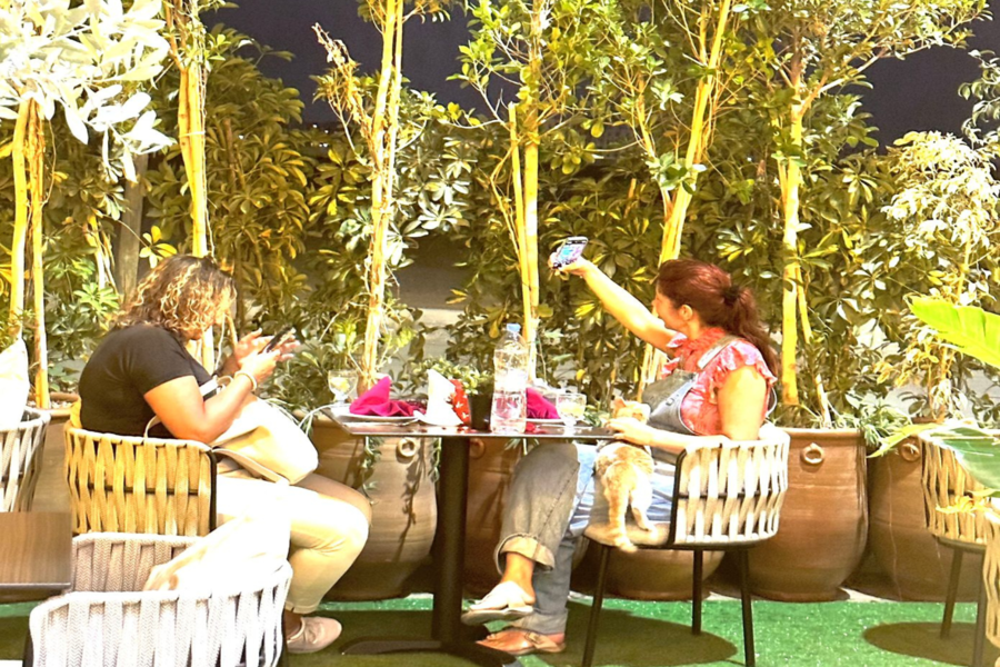 Sunset Camel Riding in Agafay Desert and Dinner in Chouf L'Or in Marrakech