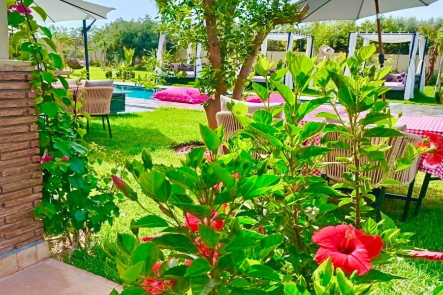 Marrakech Day Pass Pool Including Lunch and Shuttle - Chill Out