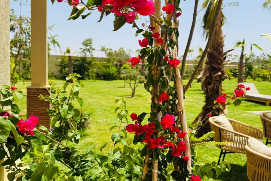 Marrakech Day Pass Pool Including Lunch and Shuttle - Chill Out