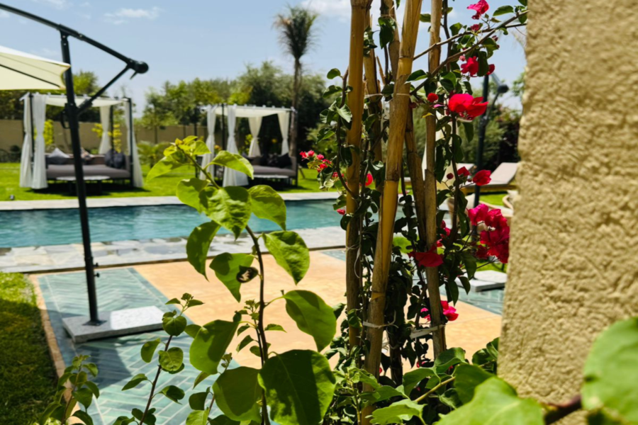Marrakech Day Pass Pool Including Lunch and Shuttle - Chill Out