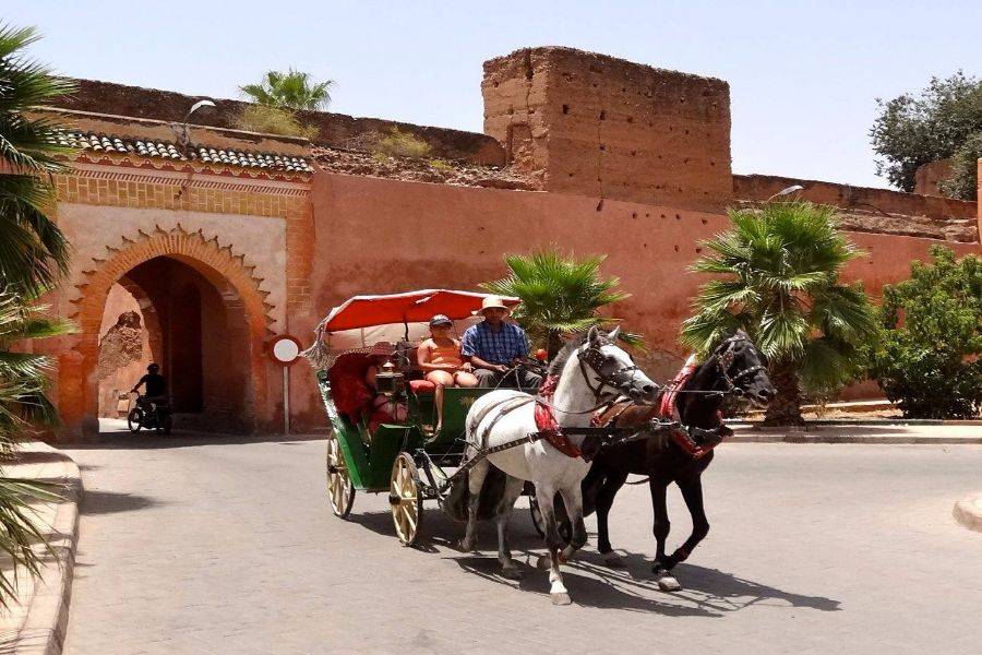 Horse Ride Carriage in Marrakech