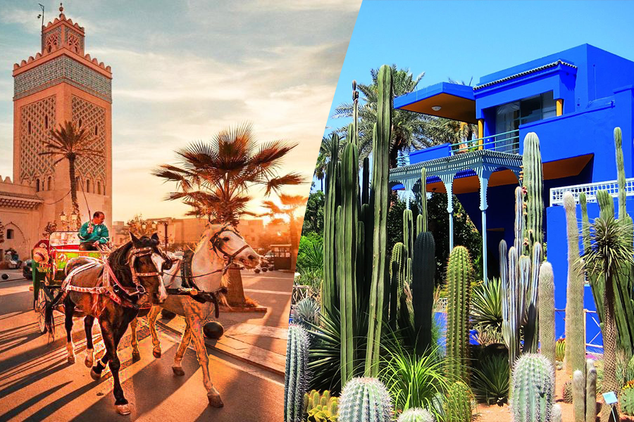 Horse Carriage and Visit of Majorelle Garden Tour