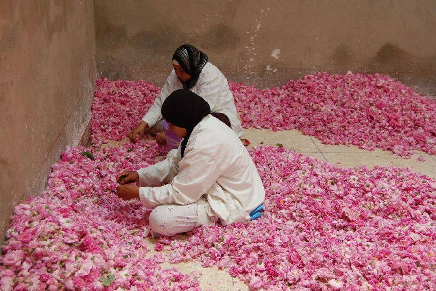 Fez 4 Days Desert Tour to Marrakech