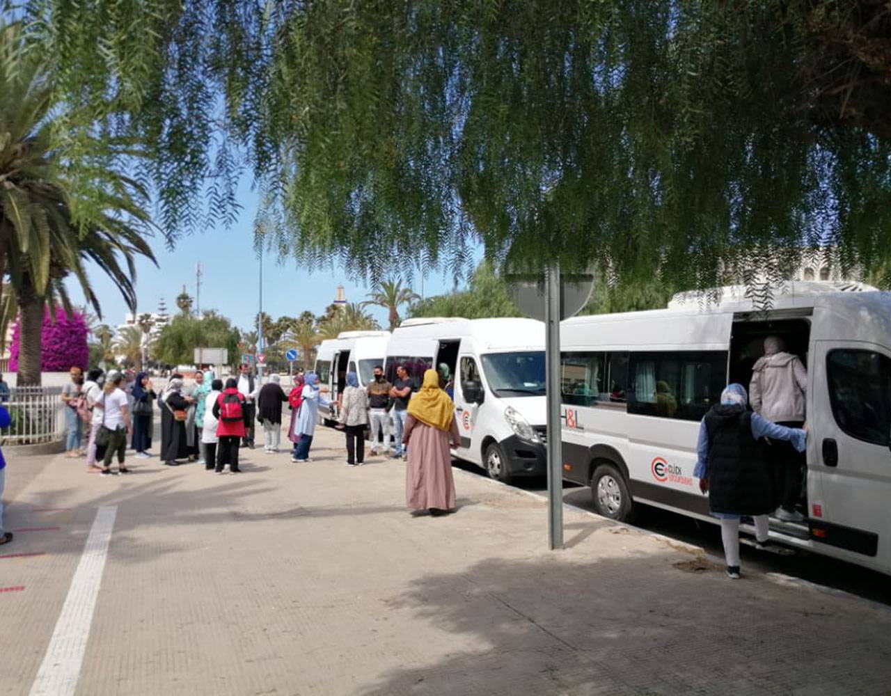 Day trip to Safi & Oualidia