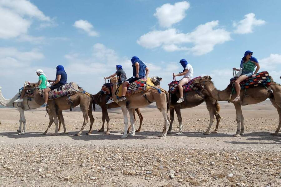 Sunset Camel Riding in Agafay Desert and Dinner in Chouf L'Or in Marrakech