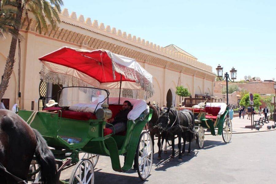 Horse Carriage and Visit of Majorelle Garden Tour