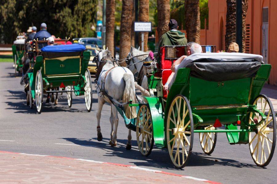 Horse Carriage and Visit of Majorelle Garden Tour