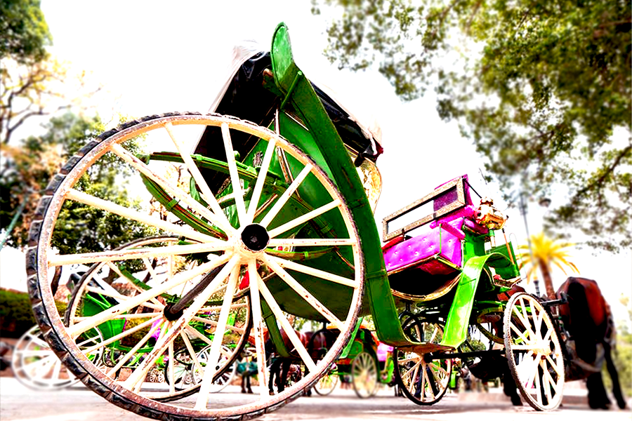 Horse Carriage and Visit of Majorelle Garden Tour