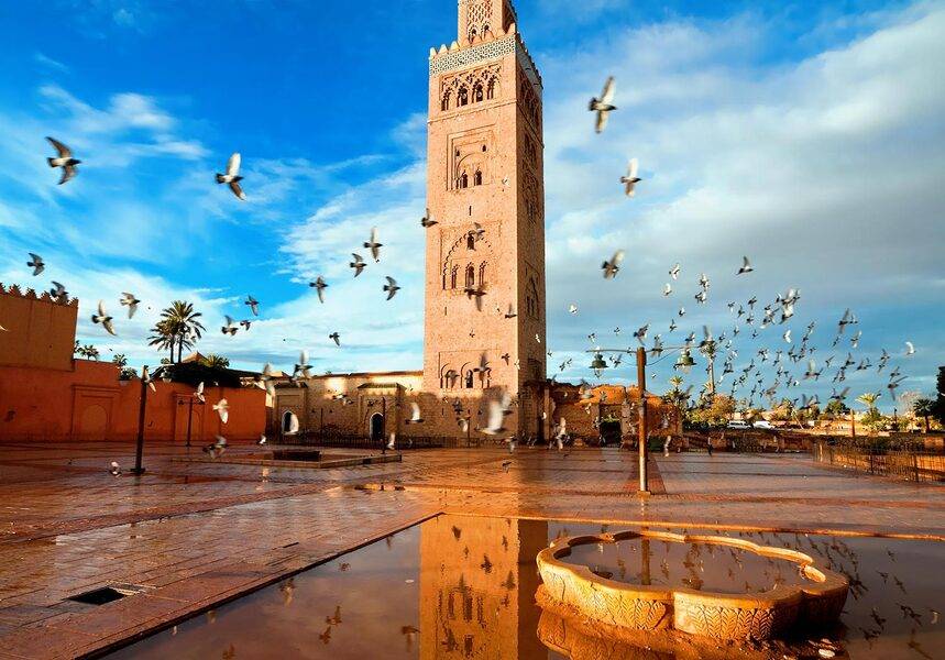 Historical Gardens and Ramparts of Marrakech Tour
