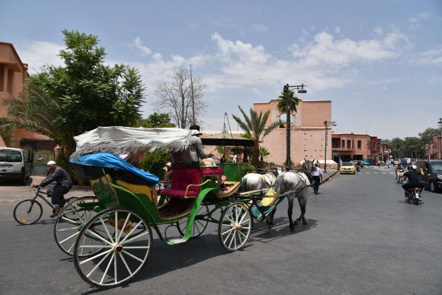 Horse Carriage and Visit of Majorelle Garden Tour