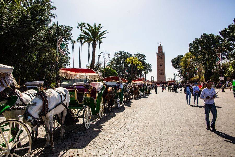 Horse Carriage and Visit of Majorelle Garden Tour