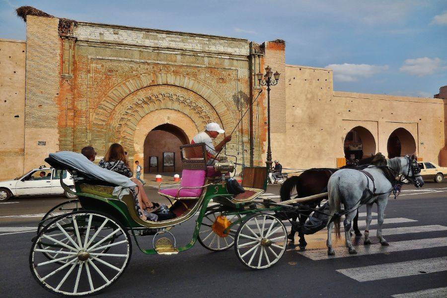 Horse Carriage and Visit of Majorelle Garden Tour