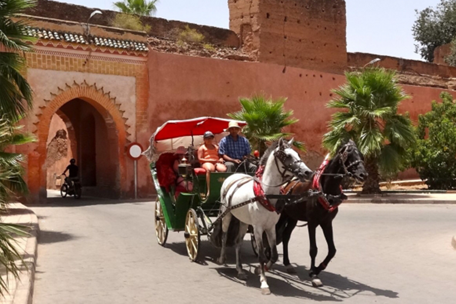Horse Carriage and Visit of Majorelle Garden Tour