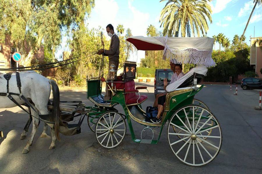 Horse Carriage and Visit of Majorelle Garden Tour