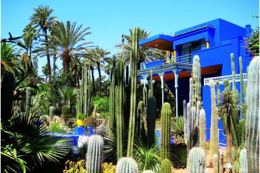 Horse Carriage and Visit of Majorelle Garden Tour