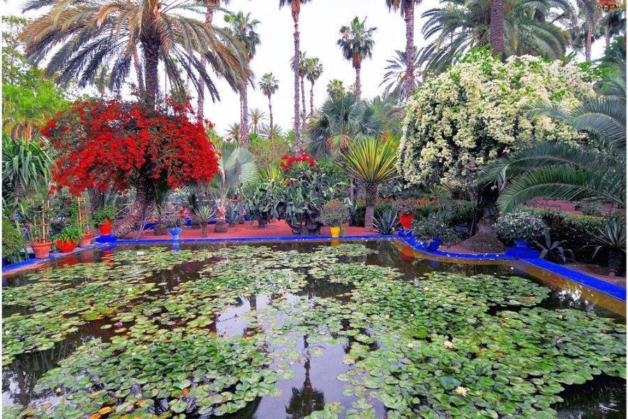 Horse Carriage and Visit of Majorelle Garden Tour