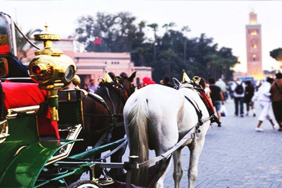 Horse Carriage and Visit of Majorelle Garden Tour